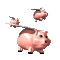 3flypigs[1].gif