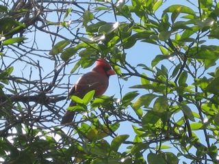 IMG_0180.jpg