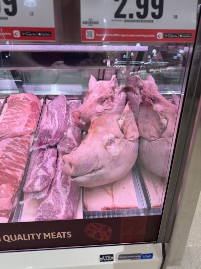 IMG_0746.jpeg