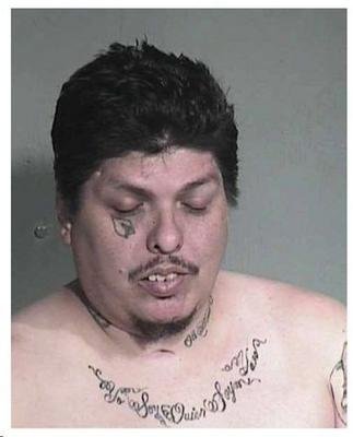 Cards Fan.jpg