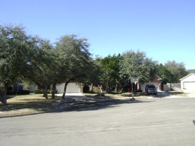 Feb 2011 014.jpg