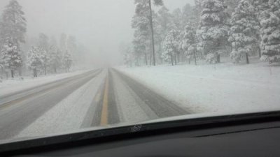 IMG_20131123_133047_671-1.jpg