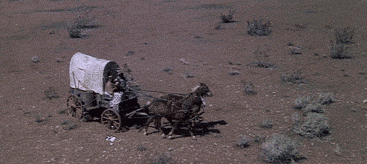 R.gif