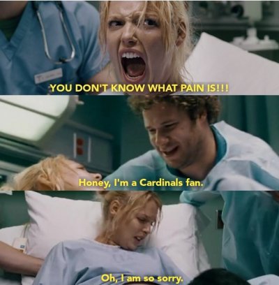 cardinal's fan.jpeg