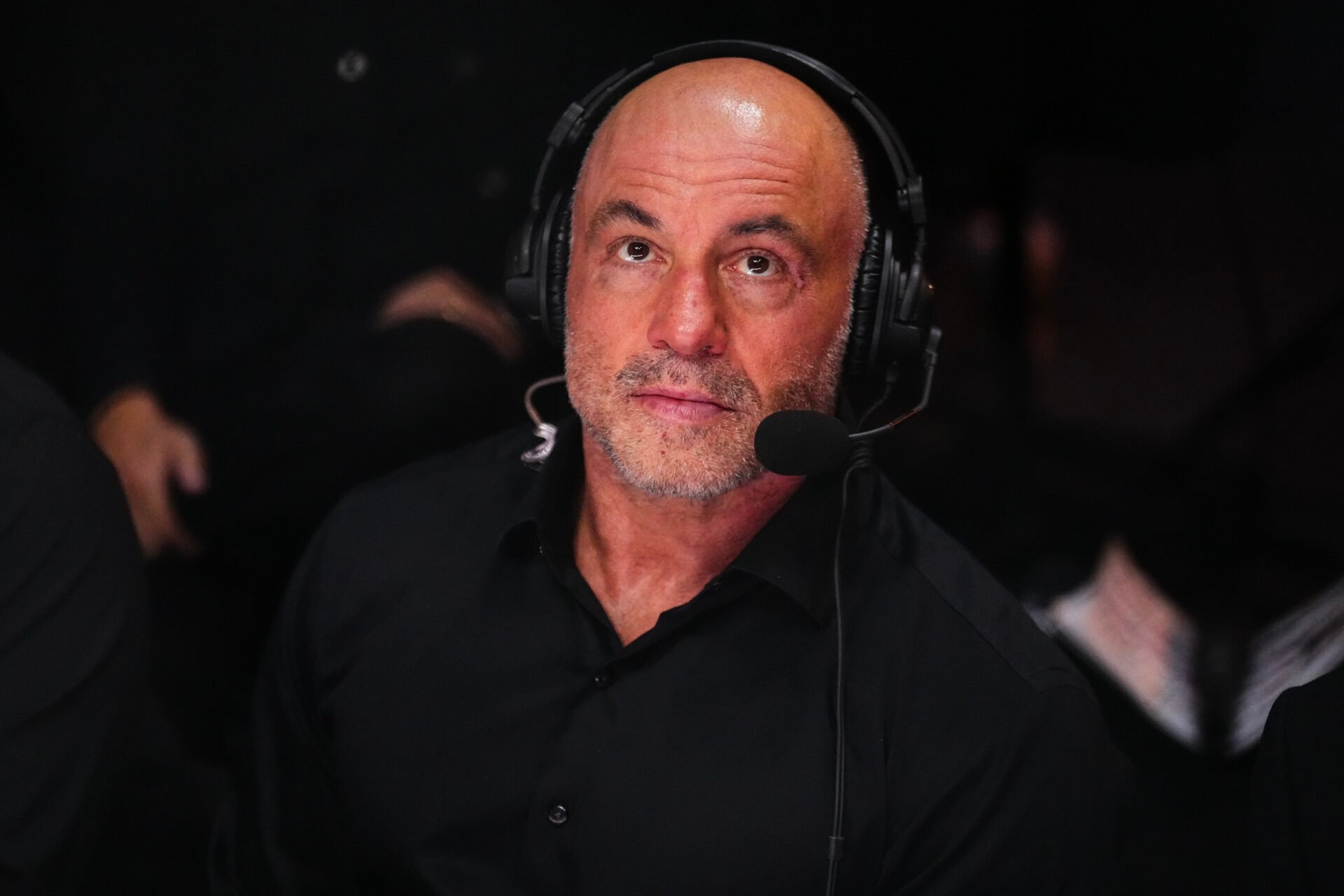bloodyelbow.com