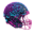 brainyballers.com